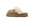 UGG Thick-soled black UGG comfortable warm closed-toe slippers UGG Disquette