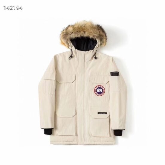 Canada goose