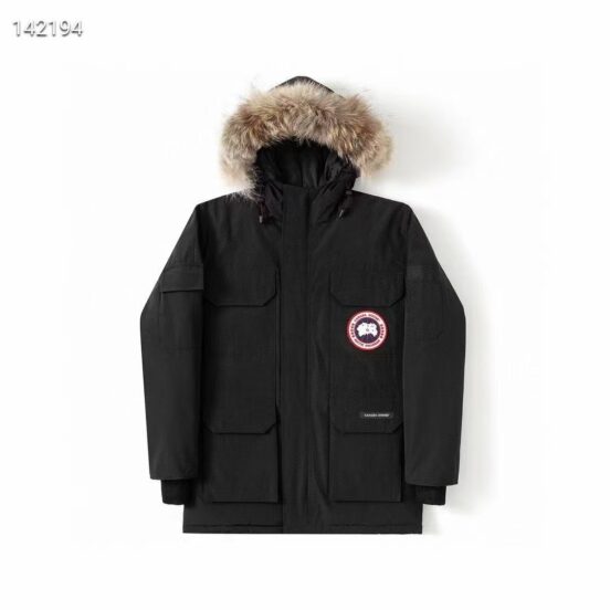 Canada goose